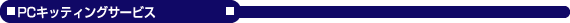 PCLbeBOT[rX